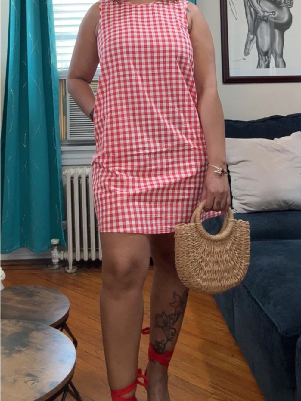Red Gingham Sleeveless Shift Mini Dress